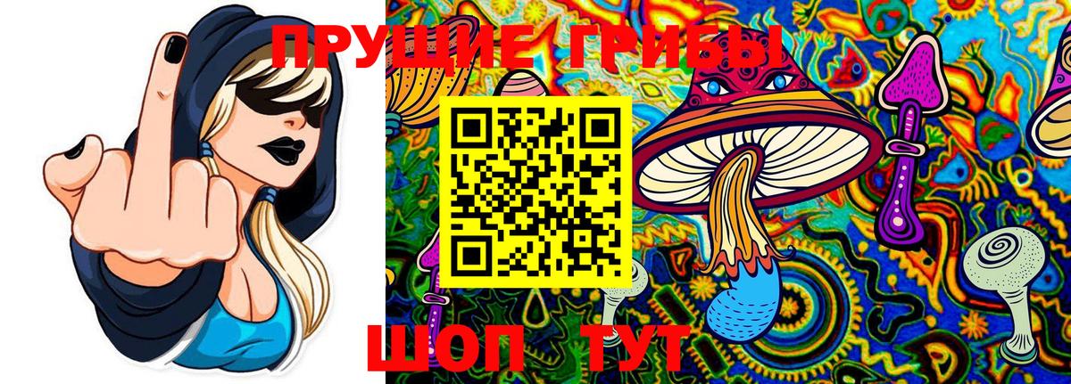 Псилоцибиновые грибы GOLDEN TEACHER Ржев
